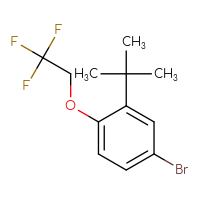 Chemical structure of 4-bromo-2-tert-butyl-1-(2,2,2-trifluoroethoxy)benzene - CSSB02495350726
