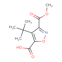 C10H13NO5