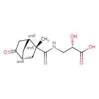 C13H19NO5