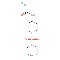 Chemical structure of 2-chloro-N-[1-(morpholine-4-sulfonyl)piperidin-4-yl]acetamide - CSSB01654692831