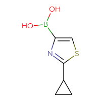 Chemical structure of (2-cyclopropyl-1,3-thiazol-4-yl)boronic acid - CSSB00015673412