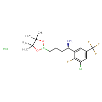 C17H24BCl2F4NO2