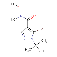 Chemical structure of 5-bromo-1-tert-butyl-N-methoxy-N-methyl-1H-pyrazole-4-carboxamide - CSSB00103346344