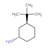 C10H21N