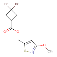 C10H11Br2NO3S