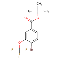 Chemical structure of tert-butyl 4-bromo-3-(trifluoromethoxy)benzoate - CSSB14869111532