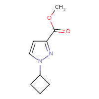 Chemical structure of methyl 1-cyclobutyl-1H-pyrazole-3-carboxylate - CSSB00051849915