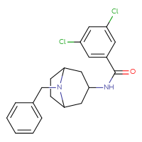 Chemical structure of N-{8-benzyl-8-azabicyclo[3.2.1]octan-3-yl}-3,5-dichlorobenzamide - CSSB00475377894