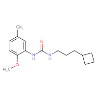 Chemical structure of 3-(3-cyclobutylpropyl)-1-(2-methoxy-5-methylphenyl)urea - CSSB02026371926