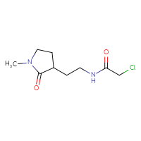 Chemical structure of 2-chloro-N-[2-(1-methyl-2-oxopyrrolidin-3-yl)ethyl]acetamide - CSSB02129938451