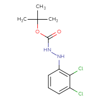 Chemical structure of N'-(2,3-dichlorophenyl)(tert-butoxy)carbohydrazide - CSSB21331813336