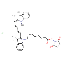 Chemical structure of 1-{8-[(2,5-dioxopyrrolidin-1-yl)oxy]-8-oxooctyl}-3,3-dimethyl-2-[(1E,3E)-5-[(2Z)-1,3,3-trimethyl-2,3-dihydro-1H-indol-2-ylidene]penta-1,3-dien-1-yl]-3H-indol-1-ium chloride - CSSB02125604726