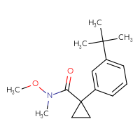 Chemical structure of 1-(3-tert-butylphenyl)-N-methoxy-N-methylcyclopropane-1-carboxamide - CSSB21151591949