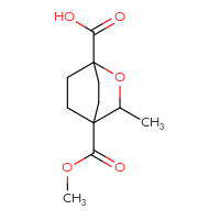 Chemical structure of 4-(methoxycarbonyl)-3-methyl-2-oxabicyclo[2.2.2]octane-1-carboxylic acid - CSSB20680307516