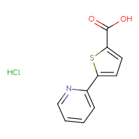 Chemical structure of 5-(pyridin-2-yl)thiophene-2-carboxylic acid hydrochloride - CSSB00102946631
