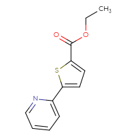 Chemical structure of ethyl 5-(pyridin-2-yl)thiophene-2-carboxylate - CSSB00010164410