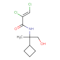 C10H15Cl2NO2
