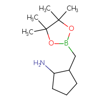 C12H24BNO2