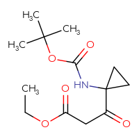 C13H21NO5