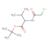Chemical structure of tert-butyl 2-(2-chloroacetamido)-3-methylbutanoate - CSSB00020591014