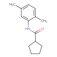 Chemical structure of N-(2,5-dimethylphenyl)cyclopentanecarboxamide - CSSB00000001422