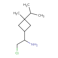 C10H20ClN