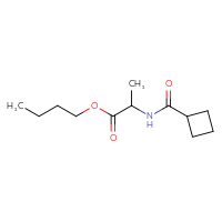 C12H21NO3