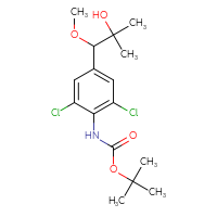 C16H23Cl2NO4