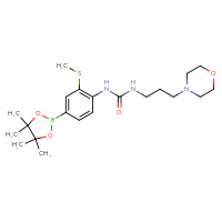 Chemical structure of 3-[2-(methylsulfanyl)-4-(4,4,5,5-tetramethyl-1,3,2-dioxaborolan-2-yl)phenyl]-1-[3-(morpholin-4-yl)propyl]urea - CSSB21332131444