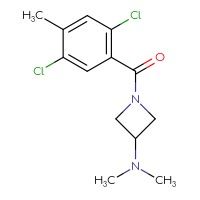 Chemical structure of 1-(2,5-dichloro-4-methylbenzoyl)-N,N-dimethylazetidin-3-amine - CSSB06663077527