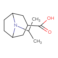 Chemical structure of 8-(propan-2-yl)-8-azabicyclo[3.2.1]octane-3-carboxylic acid - CSSB00000056144