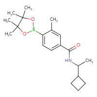 Chemical structure of N-(1-cyclobutylethyl)-3-methyl-4-(4,4,5,5-tetramethyl-1,3,2-dioxaborolan-2-yl)benzamide - CSSB02533258817