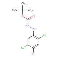 Chemical structure of N'-(4-bromo-2,5-dichlorophenyl)(tert-butoxy)carbohydrazide - CSSB21331811577