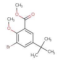 Chemical structure of methyl 3-bromo-5-tert-butyl-2-methoxybenzoate - CSSB00160498708