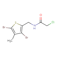 Chemical structure of 2-chloro-N-[(3,5-dibromo-4-methylthiophen-2-yl)methyl]acetamide - CSSB06366415473