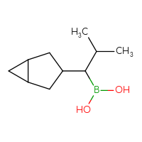 C10H19BO2