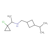 C13H24ClN