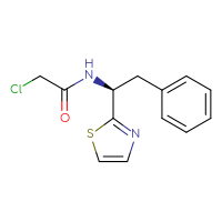 Chemical structure of 2-chloro-N-[(1S)-2-phenyl-1-(1,3-thiazol-2-yl)ethyl]acetamide - CSSB21332092893