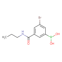 Chemical structure of [3-bromo-5-(propylcarbamoyl)phenyl]boronic acid - CSSB00025726480