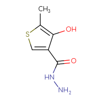 Chemical structure of 4-hydroxy-5-methylthiophene-3-carbohydrazide - CSSB21151595806
