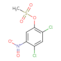 Chemical structure of 2,4-dichloro-5-nitrophenyl methanesulfonate - CSSB21432516305