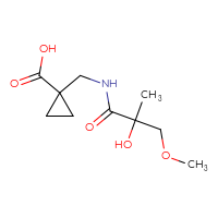 C10H17NO5