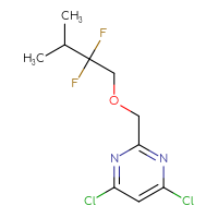 C10H12Cl2F2N2O