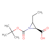 C10H17NO4