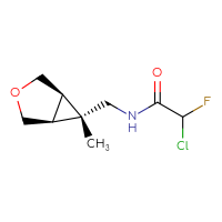 Chemical structure of 2-chloro-2-fluoro-N-{[(1R,5S,6S)-6-methyl-3-oxabicyclo[3.1.0]hexan-6-yl]methyl}acetamide - CSSB21332055661