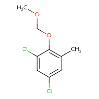 Chemical structure of 1,5-dichloro-2-(methoxymethoxy)-3-methylbenzene - CSSB09894199464