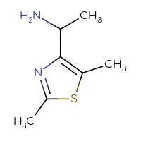 Chemical structure of 1-(2,5-dimethyl-1,3-thiazol-4-yl)ethan-1-amine - CSSB00011191650