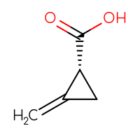 C5H6O2