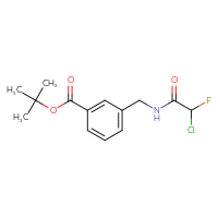 Chemical structure of tert-butyl 3-[(2-chloro-2-fluoroacetamido)methyl]benzoate - CSSB21332123167