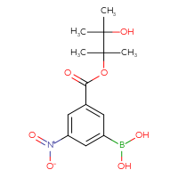 Chemical structure of (3-{[(3-hydroxy-2,3-dimethylbutan-2-yl)oxy]carbonyl}-5-nitrophenyl)boronic acid - CSSB20621673379